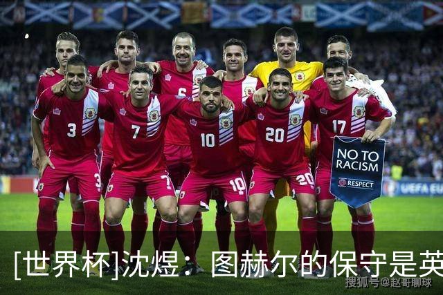 [世界杯]沈煜：图赫尔的保守是英格兰队失利的重要原因